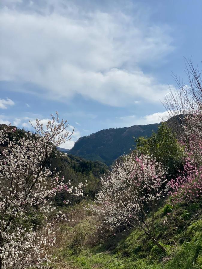 大分 由布院旅庵和山豊酒店 外观 照片