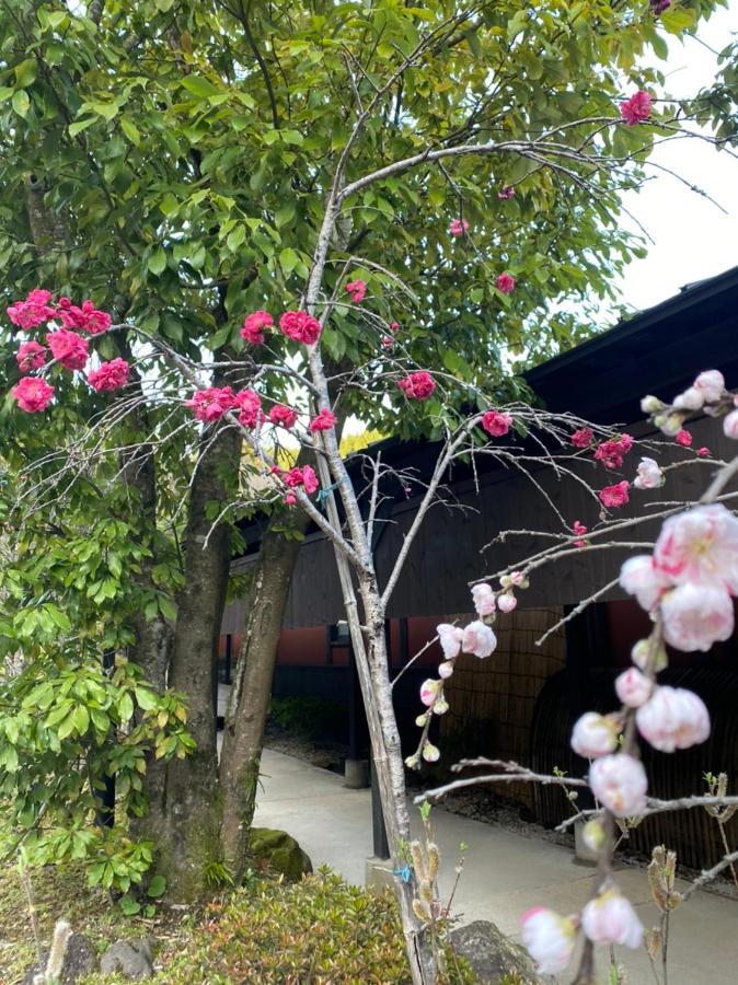 大分 由布院旅庵和山豊酒店 外观 照片